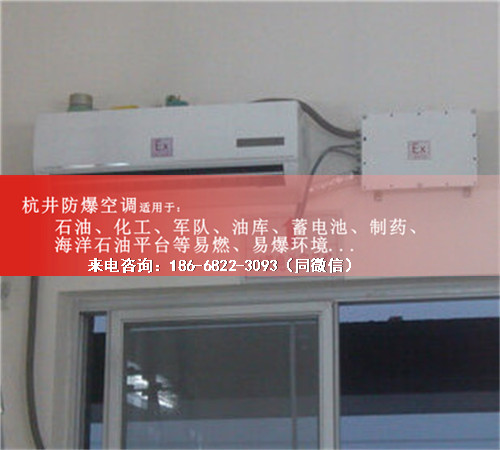 風(fēng)力發(fā)電廠防爆空調(diào)機案例圖