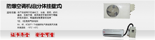 掛壁式防爆空調防爆空調價格圖片